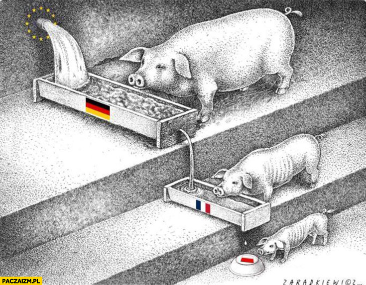 Koryto Niemcy Francja Polska świnie pieniądze unijne jak są rozdzielane
