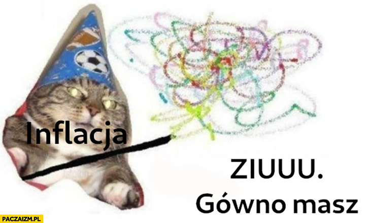 Kot inflacja ziuuu i gówno masz magiczna sztuczka różdżka