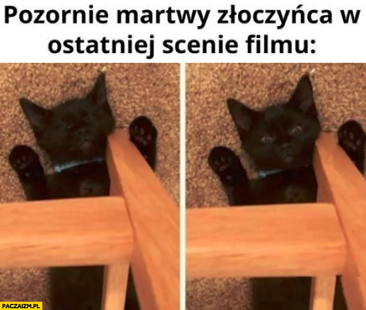 Kot kotek pozornie martwy złoczyńca w ostatniej scenie filmu otwiera oczy