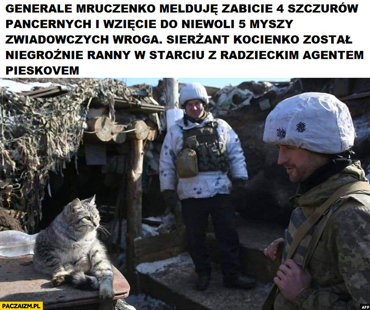 Kot na wojnie generale Mruczenko melduje zabicie 4 szczurów pancernych i wzięcie do niewoli 5 myszy