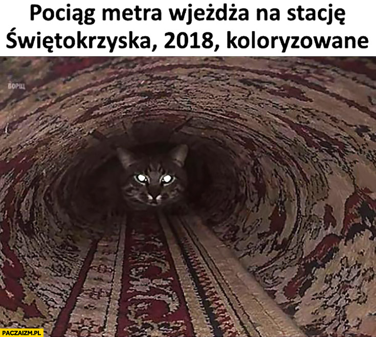 Kot w dywanie pociąg metra wjeżdża na stacje świętokrzyska 2018 koloryzowane