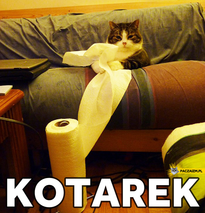 Kotarek