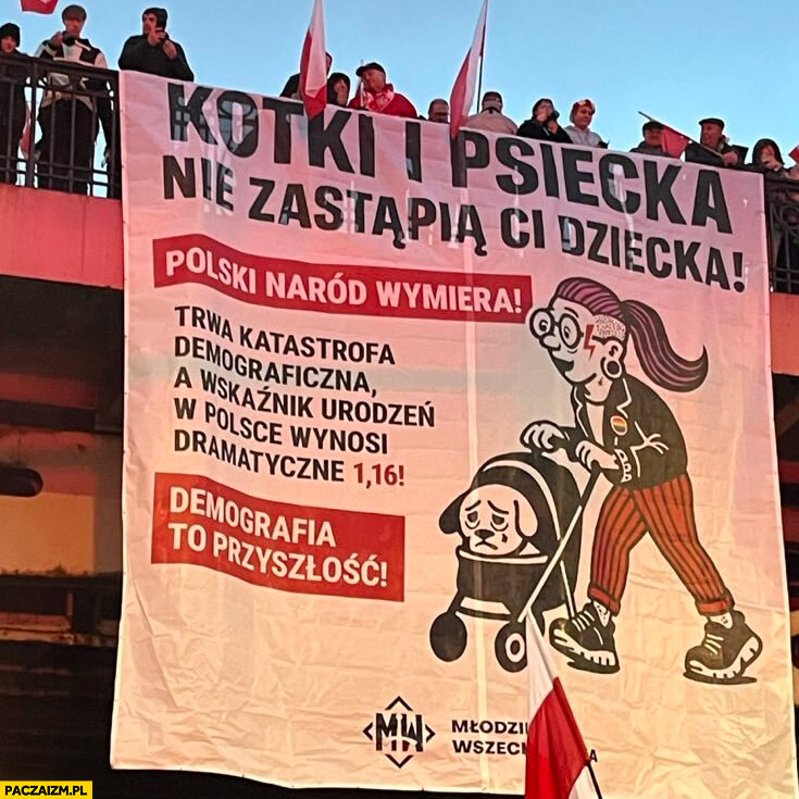 Kotki i psiecka nie zastąpią ci dziecka polski naród wymiera młodzież wszechpolska