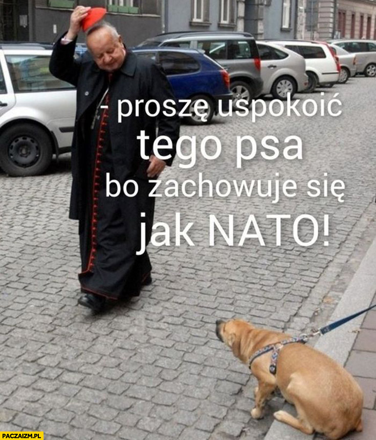 Ksiądz biskup proszę uspokoić tego psa bo zachowuje się jak NATO szczeka