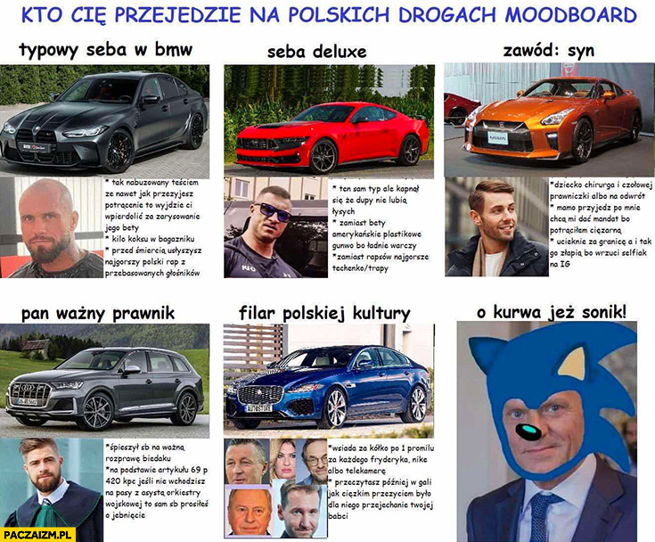 Kto cię przejedzie na polskich drogach: typowy Seba w BMW, Seba deluxe, zawód syn, pan ważny prawnik, filar polskiej kultury