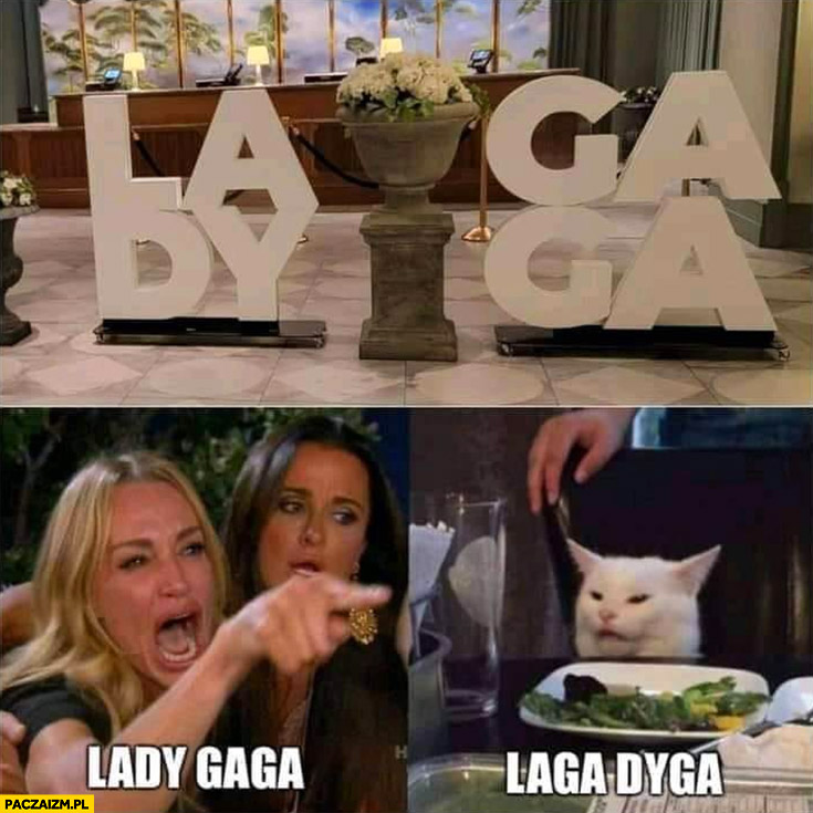 Lady Gaga laga dyga napis kot