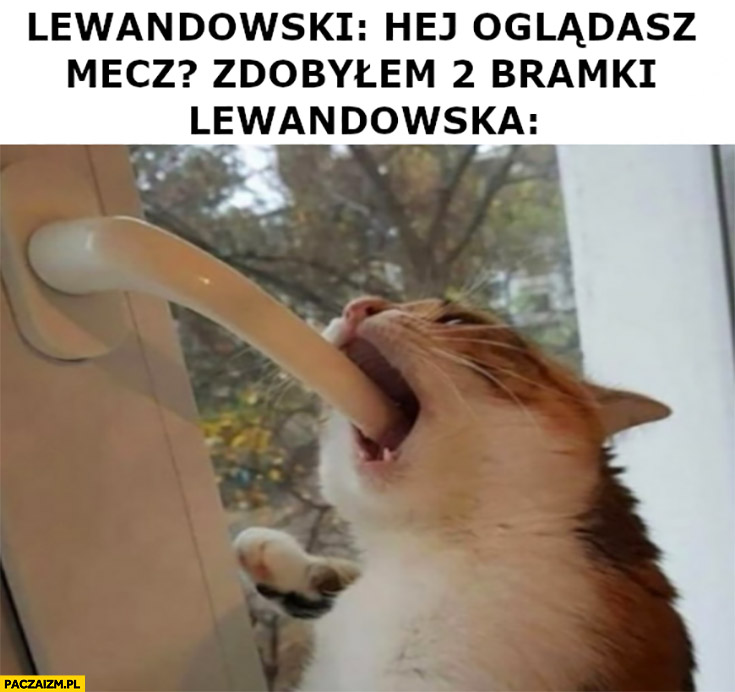Lewandowski hej oglądasz mecz zdobyłem 2 bramki, Lewandowska kot gryzie klamkę