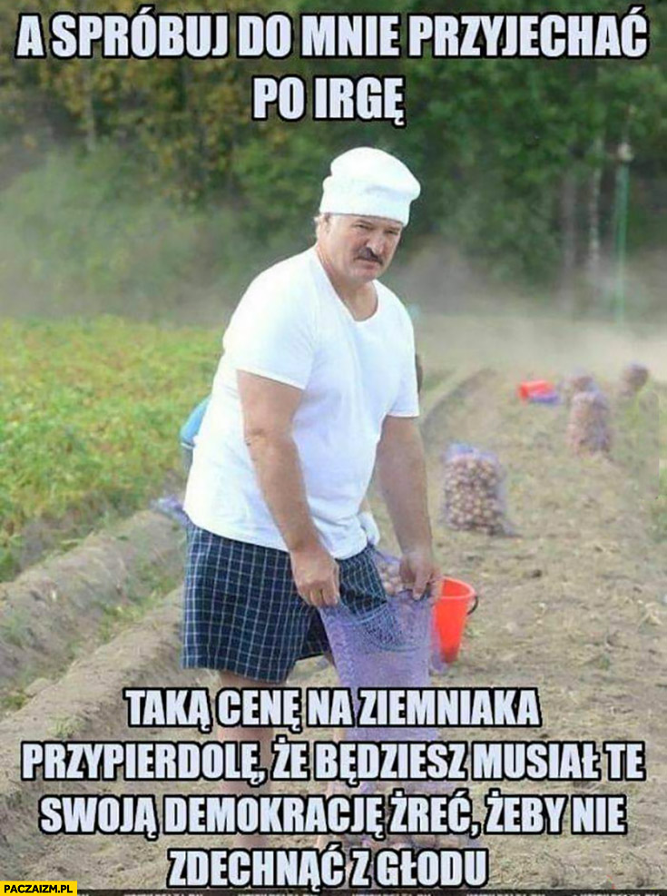 Łukaszenka a spróbuj do mnie przyjechać po irgę, taką cenę na ziemniaka dam, że będziesz musiał żreć tę swoją demokrację