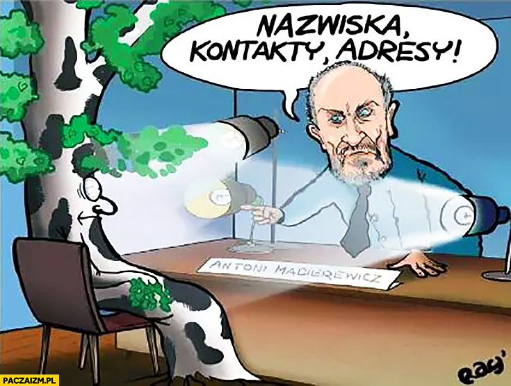 Macierewicz przesłuchuje brzozę Smoleńską rysunek nazwiska kontakty adresy