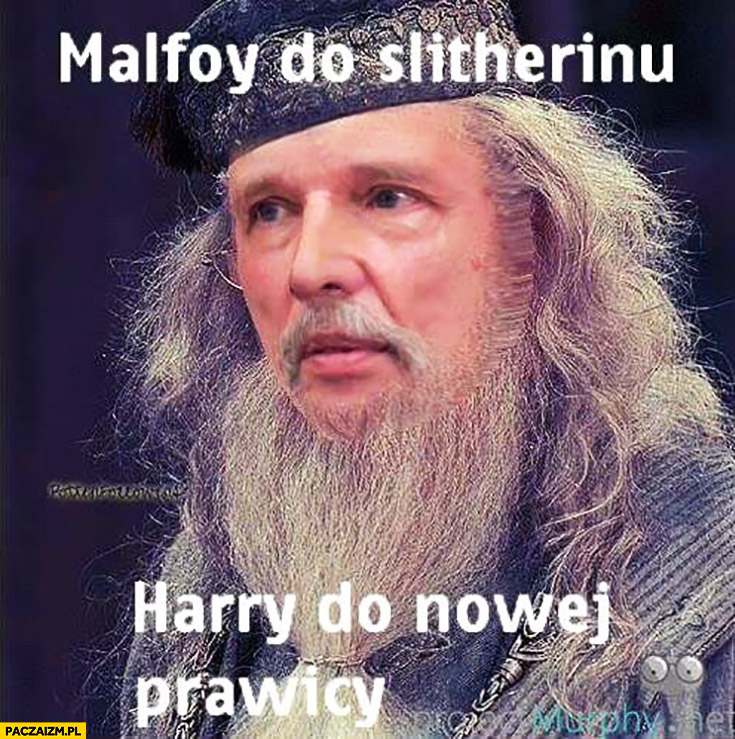 Malfoy do Slitherinu, Harry do Nowej Prawicy. Korwin Dumbledore Harry Potter