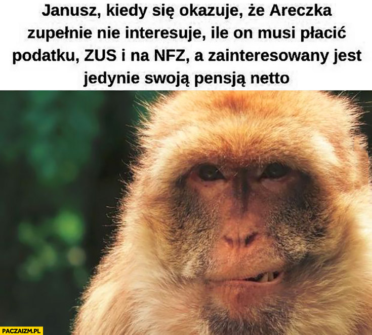 Małpa Janusz kiedy okazuje się, że Areczka nie interesuje ile musi płacić podatku ZUSu, na NFZ, a interesuje go tylko pensja netto