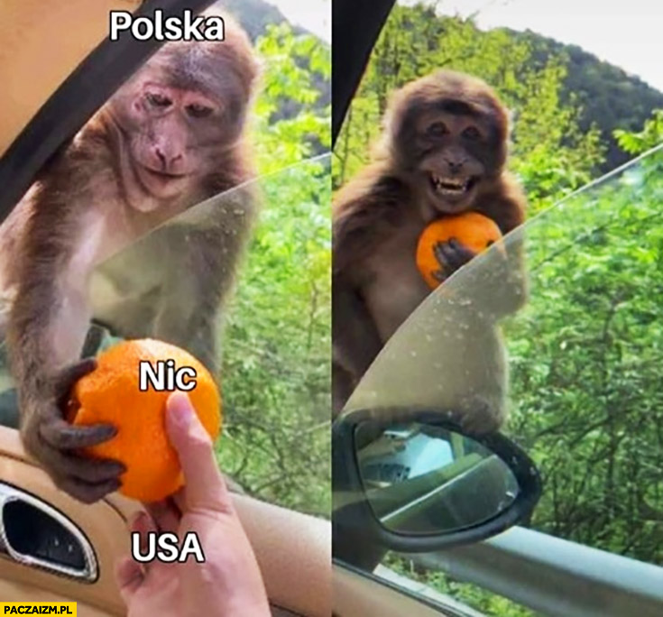 Małpa Polska dostaje od USA pomarańczę nic i się cieszy