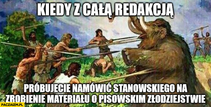 Mamut kiedy z całą redakcją próbujecie namówić Stanowskiego na zrobienie materiału o pisowskim złodziejstwie