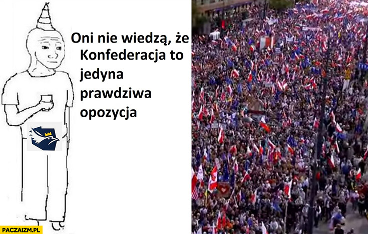 Marsz opozycji w Warszawie konfederata oni nie wiedza ze konfederacja to jedyna prawdziwa opozycja