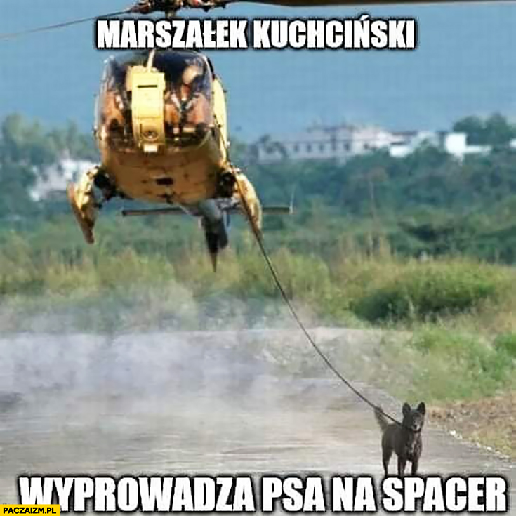 Marszałek Kuchciński wyprowadza psa na spacer na smyczy z helikoptera samolotu