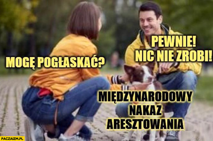 Międzynarodowy nakaz aresztowania pies piesek mogę pogłaskać? Pewnie nic nie zrobi