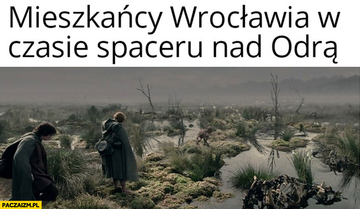 Mieszkańcy Wrocławia w czasie spaceru nad Odrą Władca Pierścieni