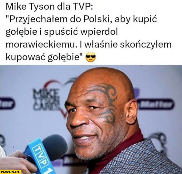 Mike Tyson dla TVP: przyjechałem do Polski aby kupić gołębie i spuścić lanie Morawieckiemu, właśnie skończyłem kupować gołębie