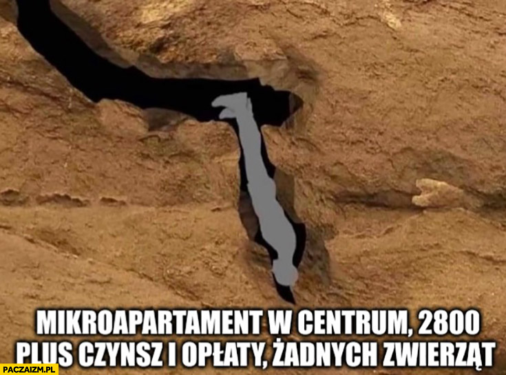 Mikroapartament w centrum 2800 zł plus czynsz i opłaty żadnych zwierząt dziura jaskinia