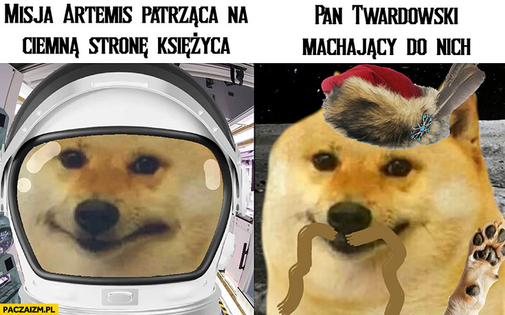 Misja Artemis patrząca na ciemną stronę księżyca vs pan Twardowski machający do nich pies pieseł doge