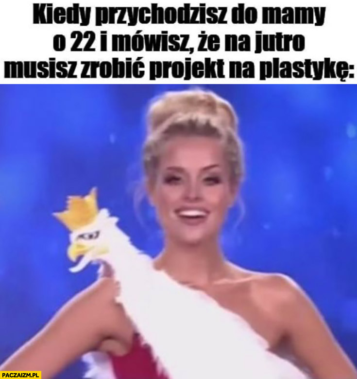 Miss Polonia kiedy przychodzisz do mamy o 22 i mówisz, że na jutro musisz zrobić projekt na plastykę orzeł kurczak