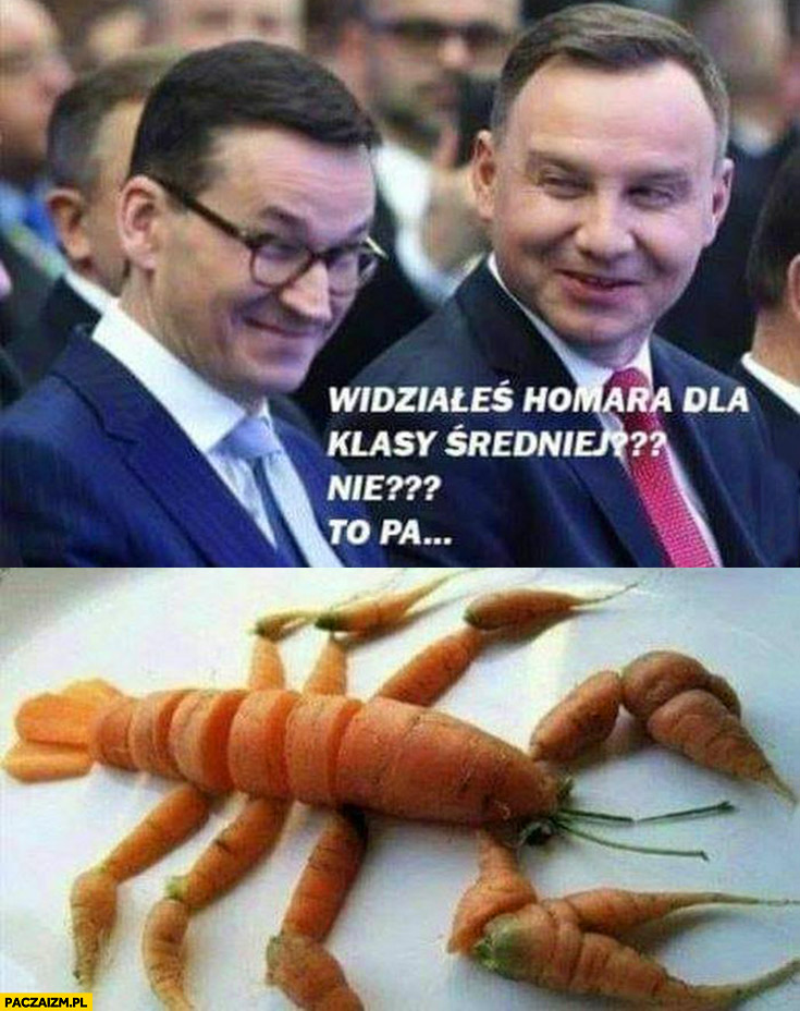 Morawiecki Duda widziałeś homara dla klasy średniej zrobiony z marchewek