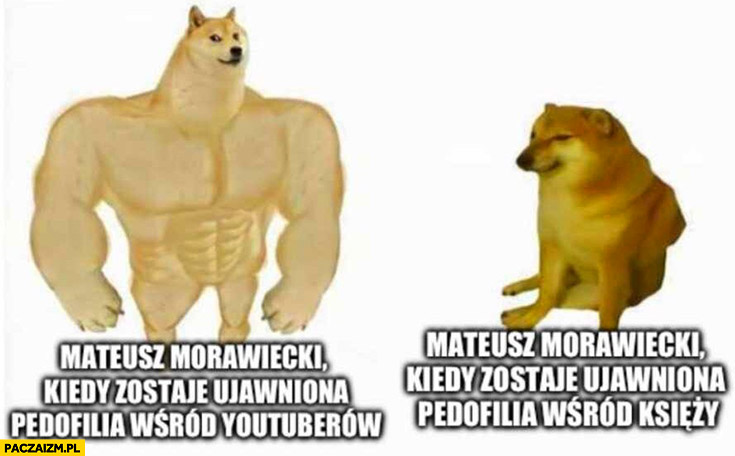 Morawiecki kiedy zostaje ujawniona pedofilia wśród youtuberów vs kiedy wśród księży pies pieseł doge cheems reakcja