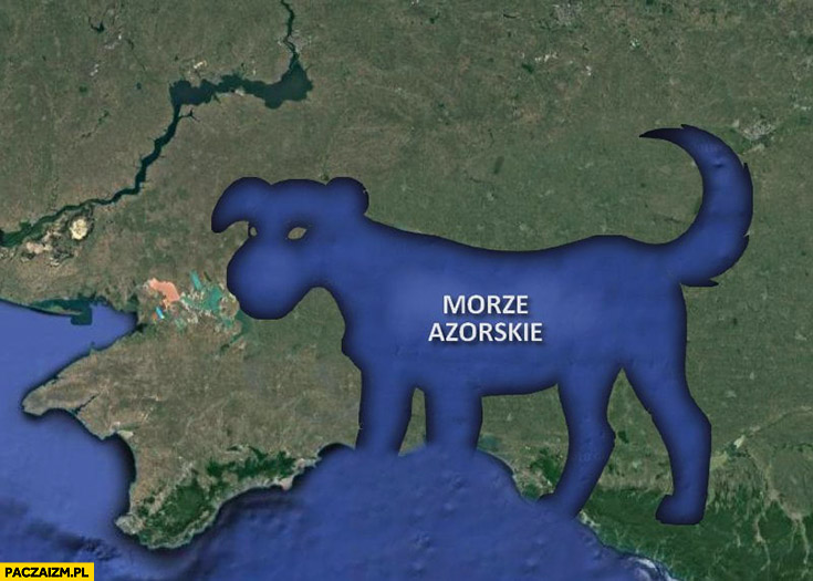 Morze Azorskie Azowskie w kształcie psa