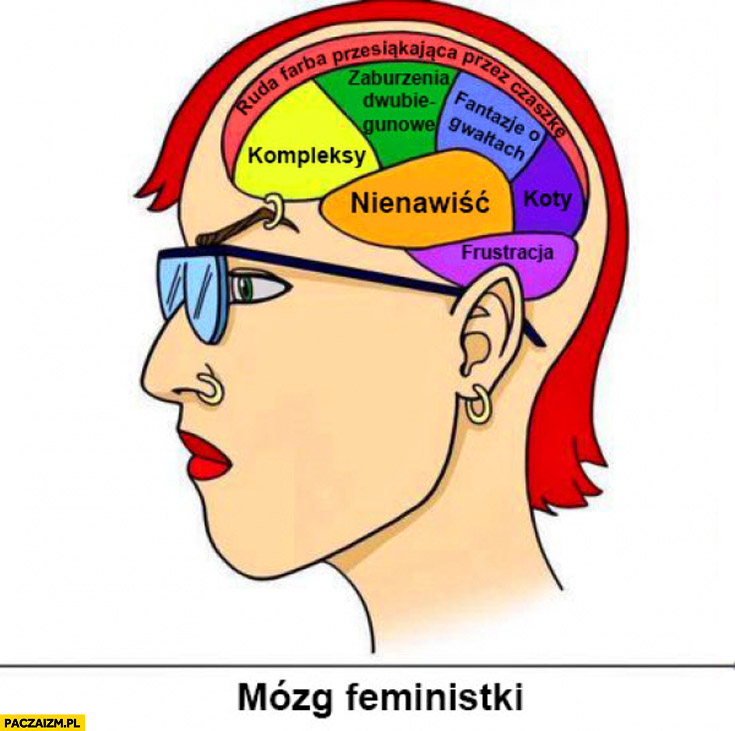 Mózg feministki kompleksy nienawiść ruda farba przesiąkająca przez czaszkę