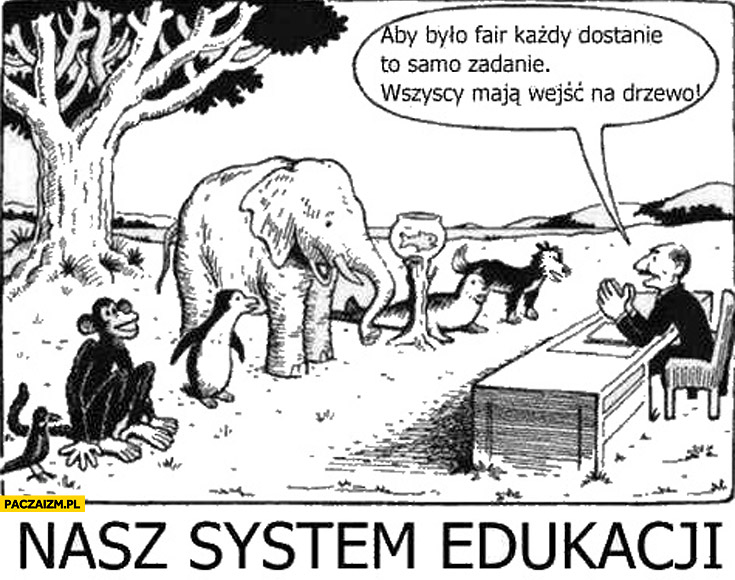 Nasz system edukacji: aby było fair każdy dostanie to samo zadanie wejść na drzewo. Zwierzęta małpa, pingwin, słoń, ryba, foka, pies