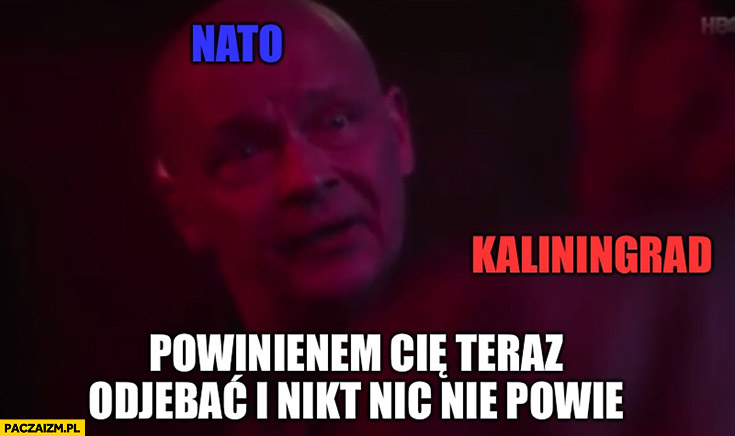 NATO Kaliningrad powinienem Cię teraz odstrzelić i nikt nic nie powie Dario ślepnąc od świateł
