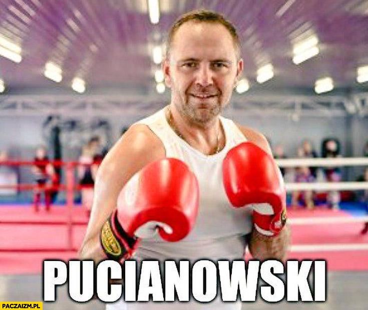 Nawrocki Pucianowski Pudzianowski bokser