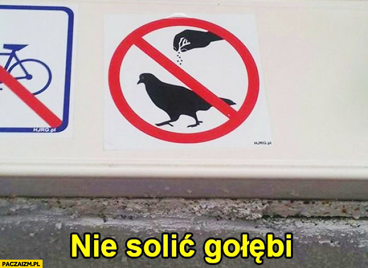 Nie solić gołębi