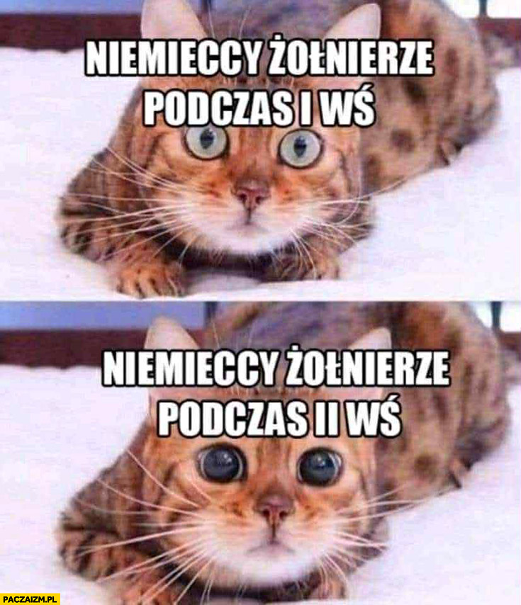 Niemieccy żołnierze podczas I WŚ vs podczas II WŚ źrenice naćpani kot kotek