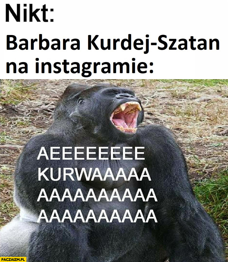 Nikt: Barbara Kurdej-Szatan na instagramie: aeeekurwaaaa małpa szympans