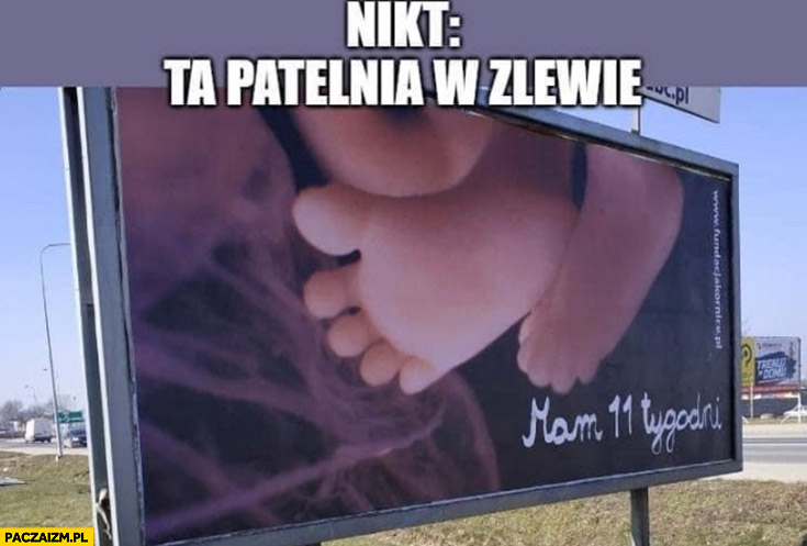 Nikt: patelnia w zlewie mam 11 tygodni billboard - Paczaizm.pl