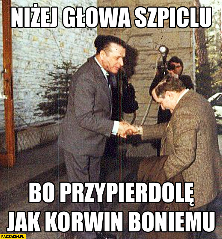 Niżej głowa szpiclu bo przypierdziele jak Korwin Boniemu Kiszczak Wałęsa