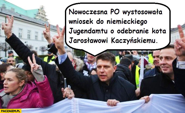 Nowoczesna wystosowała wniosek o odebranie kota Kaczyńskiemu Petru demonstracja KOD