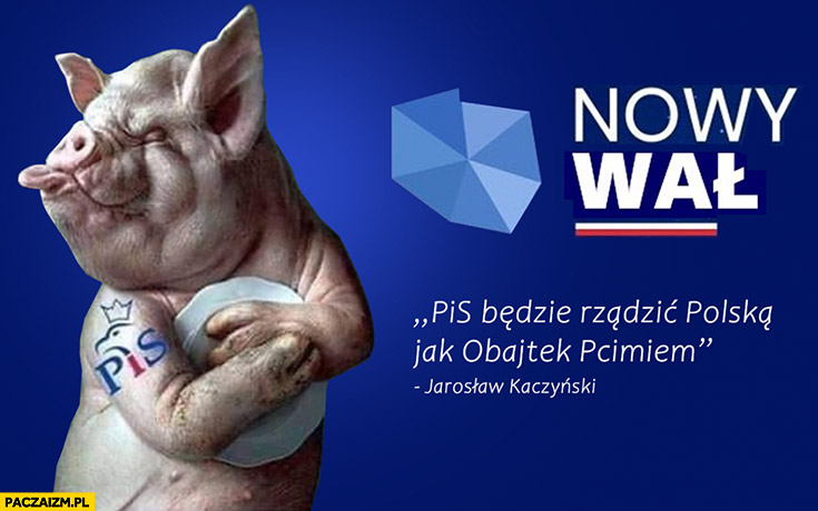 Nowy wał pis będzie rządzić Polską jak Obajtek Pcimiem Kaczyński cytat prosiak świnia knur