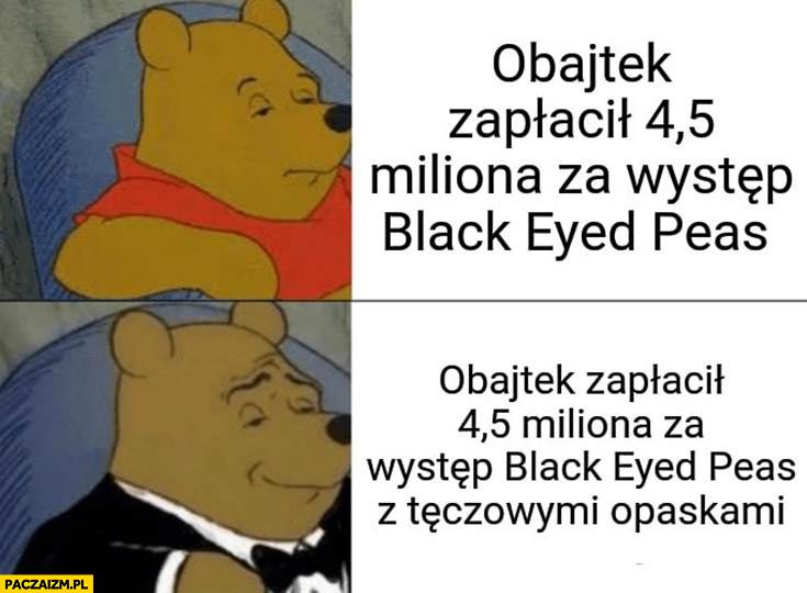 Obajtek zapłacił 4,5 miliona za występ Black Eyed Peas z tęczowymi opaskami kubuś puchatek w garniturze