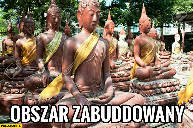 Obszar zabuddowany posągi Buddy