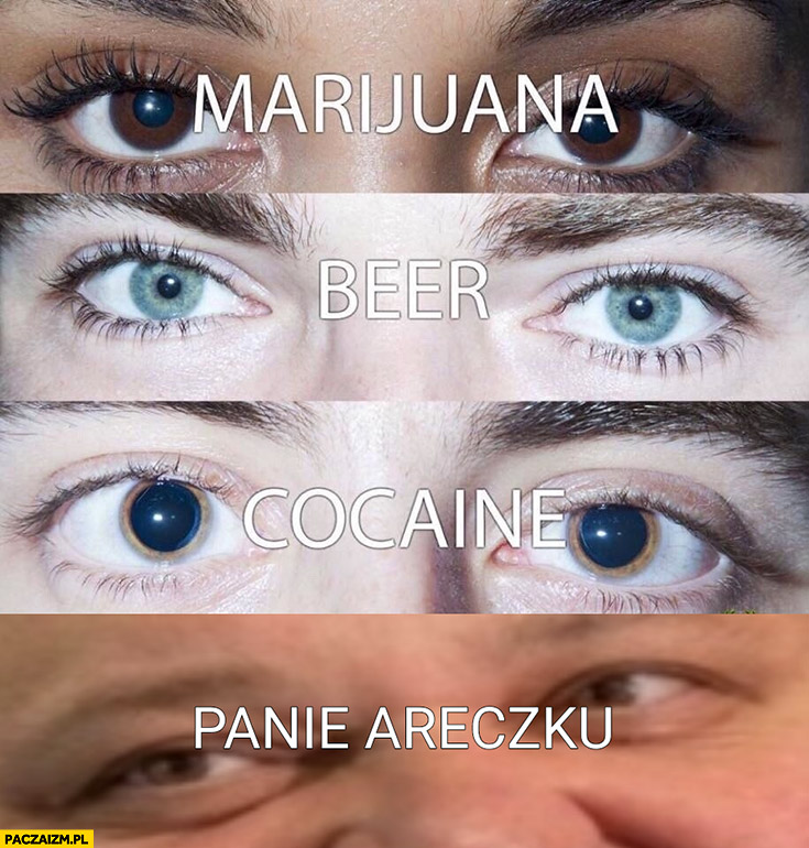 Oczy marihuana piwo kokaina panie Areczku Janusz alfa