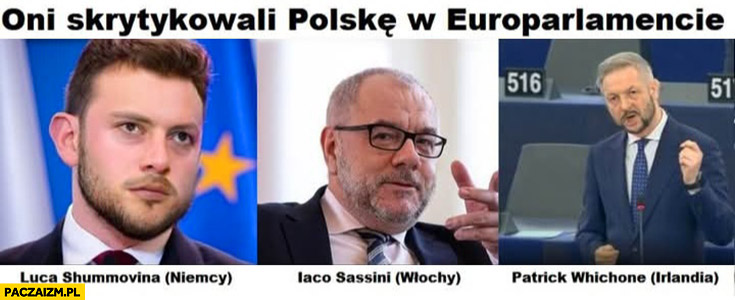 Oni skrytykowali Polskę w europarlamencie Szumowski Sasin Jaki przeróbka