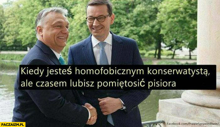 Orban Morawiecki kiedy jesteś homofobicznym konserwatystą ale czasem lubisz pomiętosić pisiora
