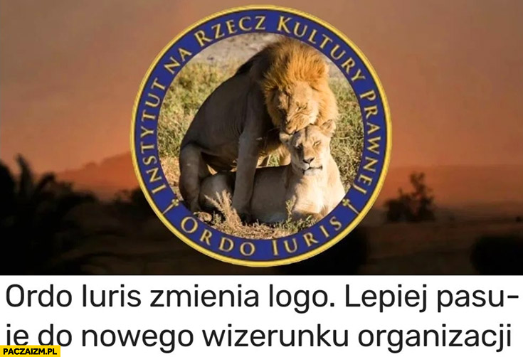 Ordo iuris zmienia logo lepiej pasuje do nowego wizerunku organizacji zamiast lwa dwa lwy jeden na drugim
