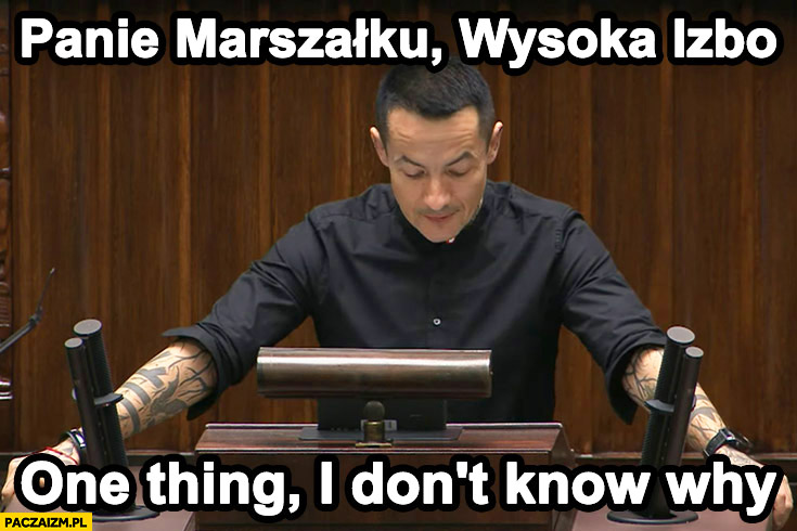 Panie Marszałku, wysoka izbo one thing I don’t know why Chester Linkin Park Marcin Józefaciuk