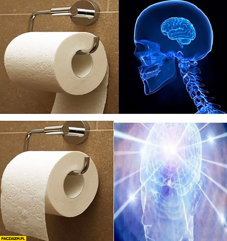 Papier toaletowy dobrze założony mózg promienieje