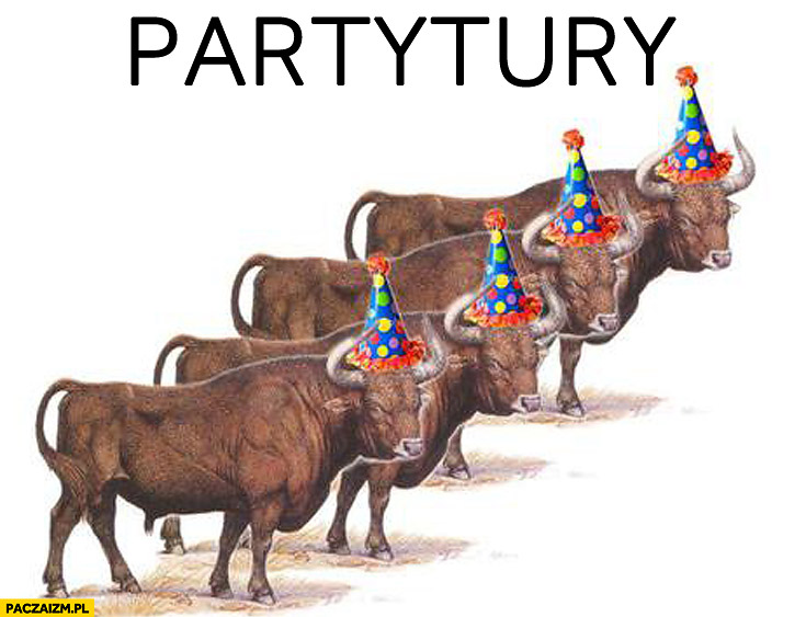 Partytury party tury
