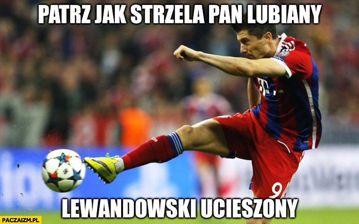 Patrz jak strzela Pan lubiany Lewandowski ucieszony
