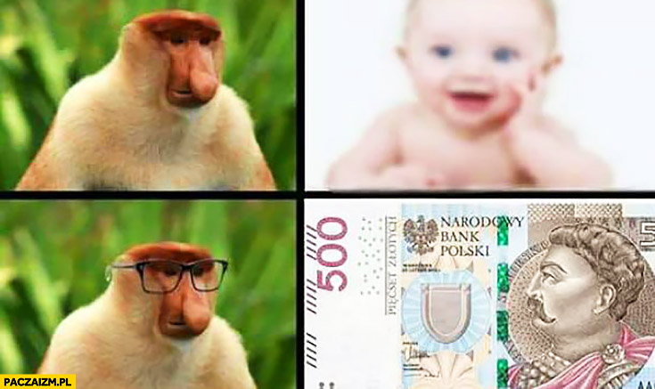 Patrzy na dziecko widzi 500 zł banknot typowy Polak nosacz małpa
